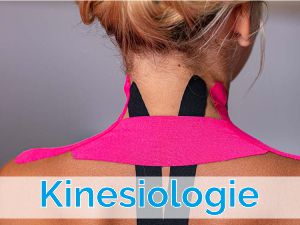 images/leistungen/kinesiologie.jpg